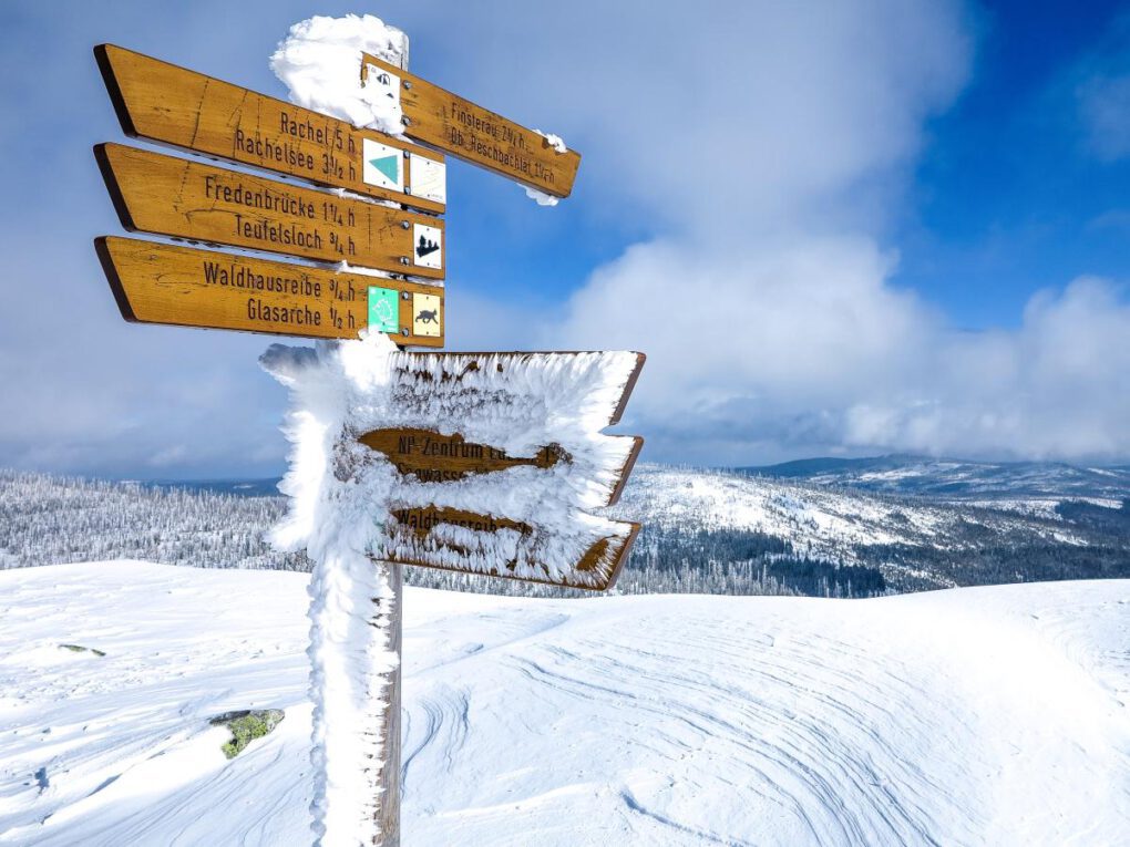 ©bietau - stock.adobe.com - cosamia