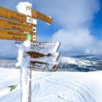 ©bietau - stock.adobe.com - cosamia