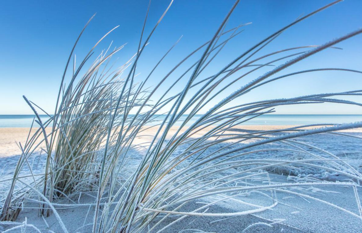 ©haiderose - stock.adobe.com - cosamia