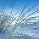 ©haiderose - stock.adobe.com - cosamia