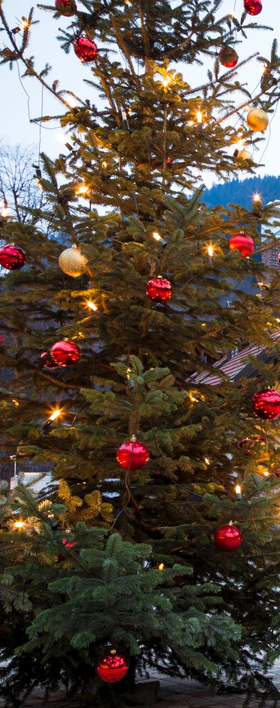 silvesterarrangement baden-württemberg