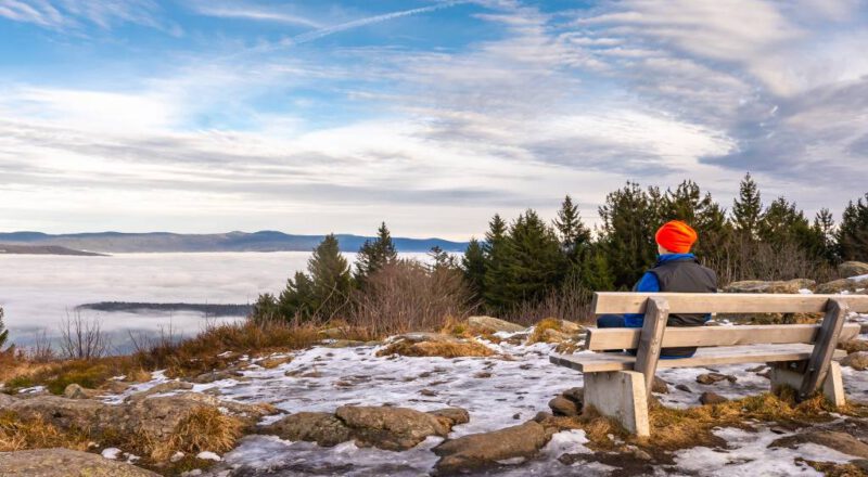 silvester bayerischer wald