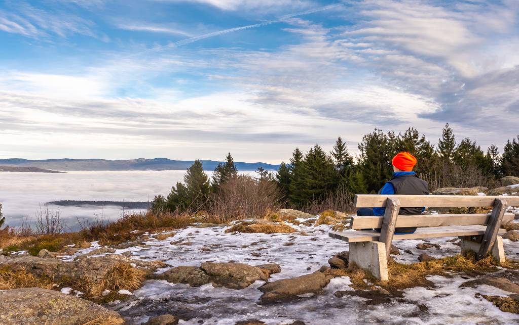 silvester bayerischer wald